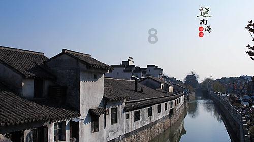 动物帮帮忙保卫家园